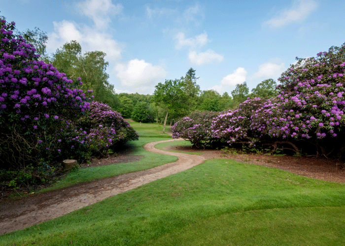 Natur, Cottesmore Hotel, Golfturer med Din Golf Reise